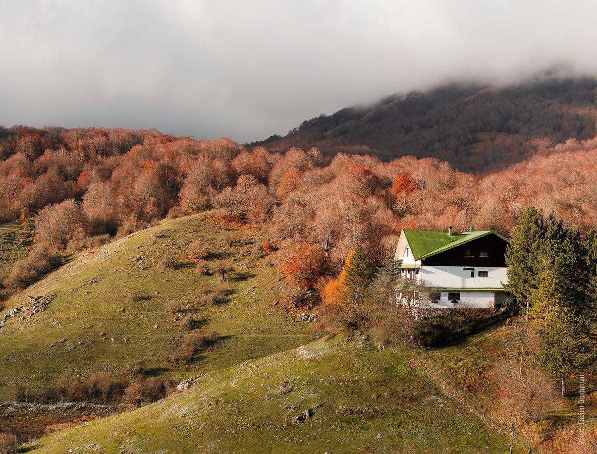 Hotel Valle Del Lupo ペスカッセーロリ エクステリア 写真